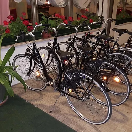 Aldebaran 3* Лидо-ди-Езоло